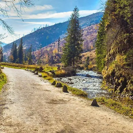 Trzy Doliny - Three Valleys Grill&jacuzzi Chalet Zakopane