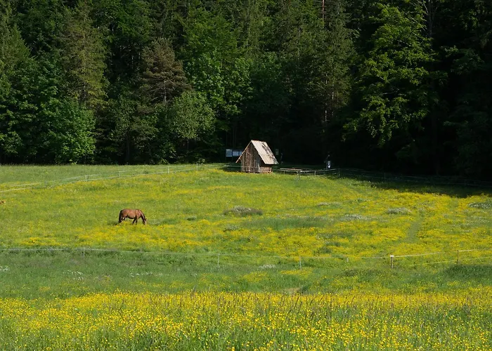Trzy Doliny - Three Valleys Grill&jacuzzi Chalet Zakopane